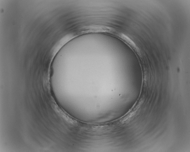 X0000072521378200608041521