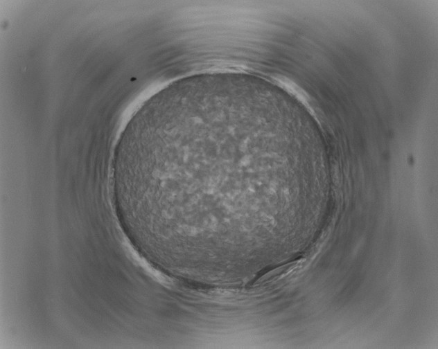 X0000072521379200608041521