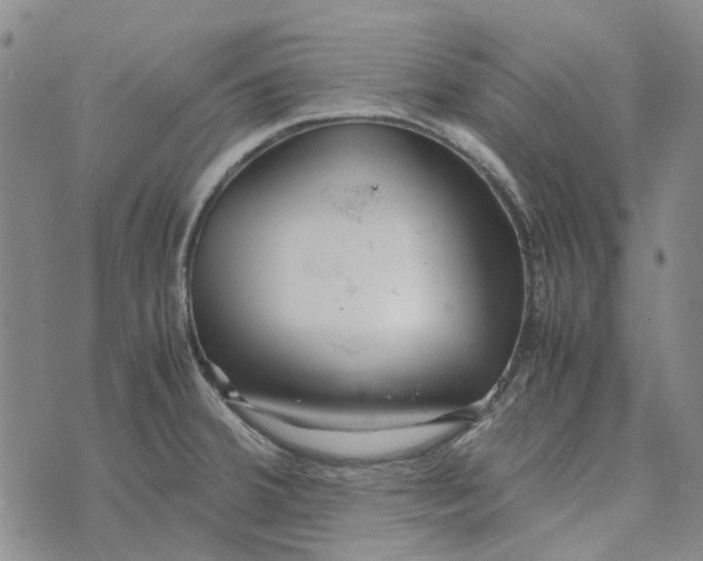 X0000072521380200608041521