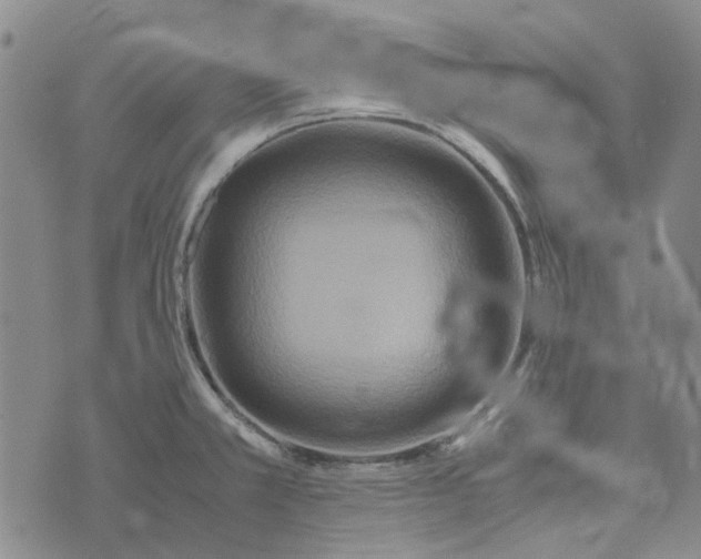 X0000072521381200608041521