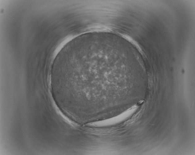 X0000072521383200608041521