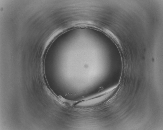 X0000072521384200608041521