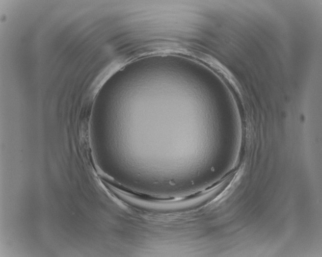 X0000072521385200608041521