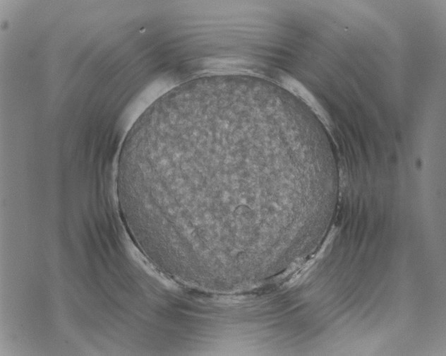 X0000072521386200608041521