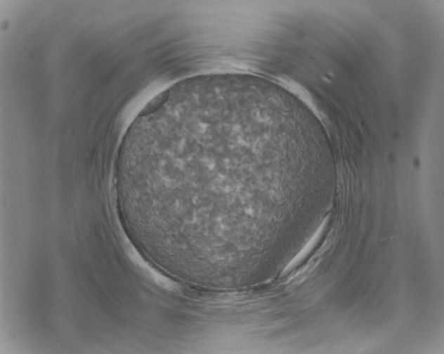 X0000072521387200608041521