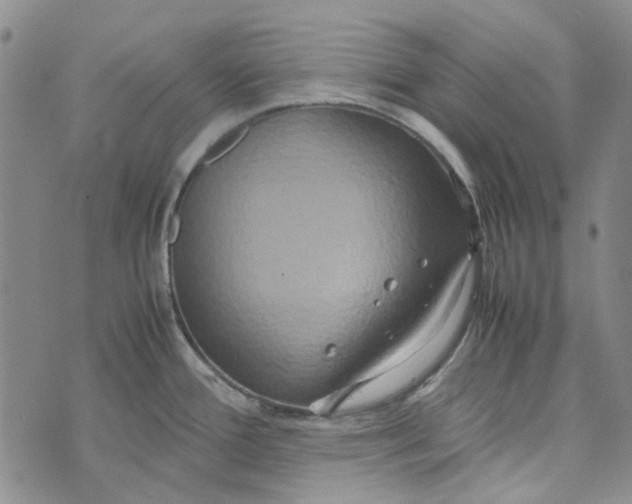 X0000072521388200608041521