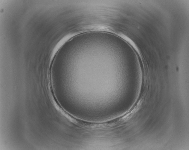 X0000072521389200608041521