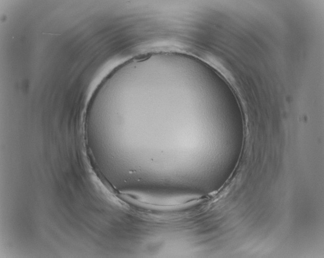 X0000072521392200608041521