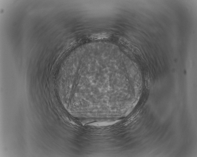 X0000072521393200608041520