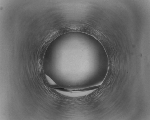 X0000072521394200608041520