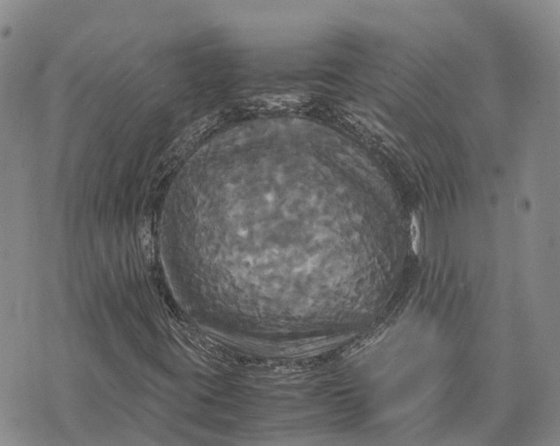 X0000072521395200608041520