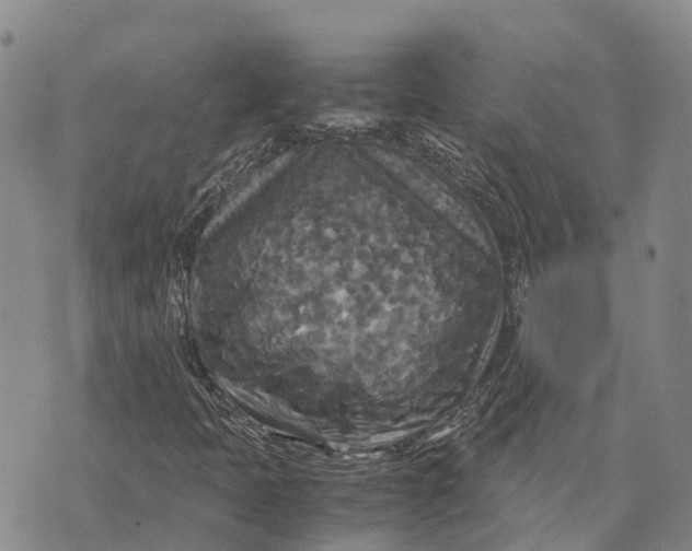 X0000072521397200608041520