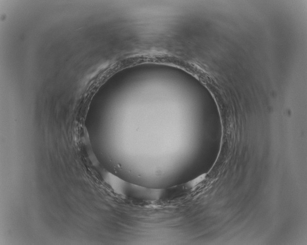 X0000072521398200608041520