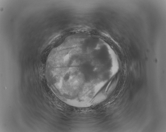 X0000072521399200608041520