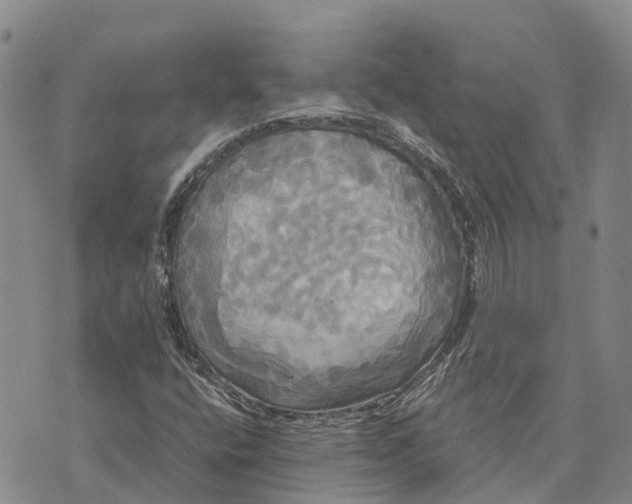 X0000072521400200608041520