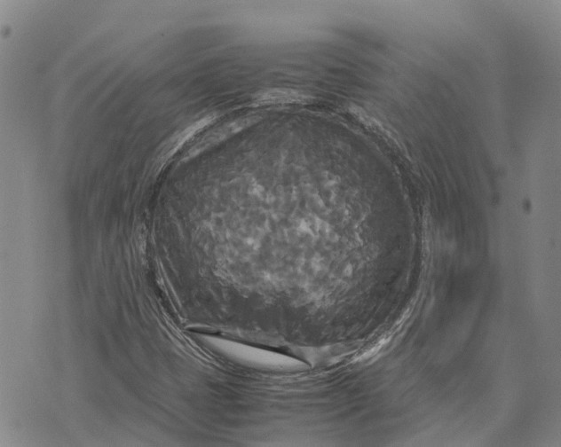 X0000072521401200608041520