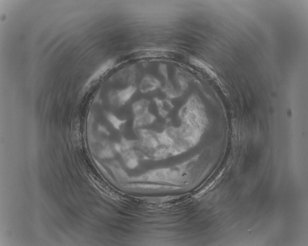 X0000072521403200608041520