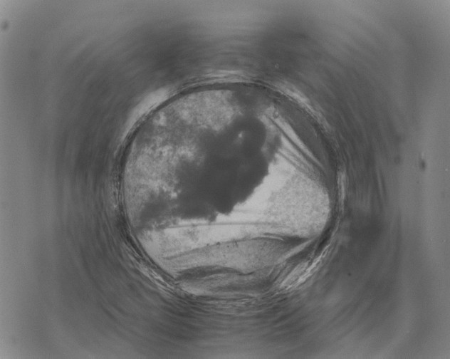 X0000072521405200608041520