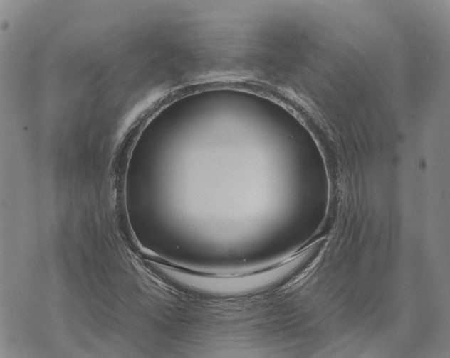 X0000072521406200608041520