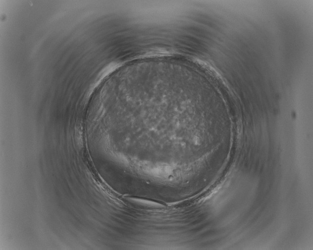 X0000072521409200608041520