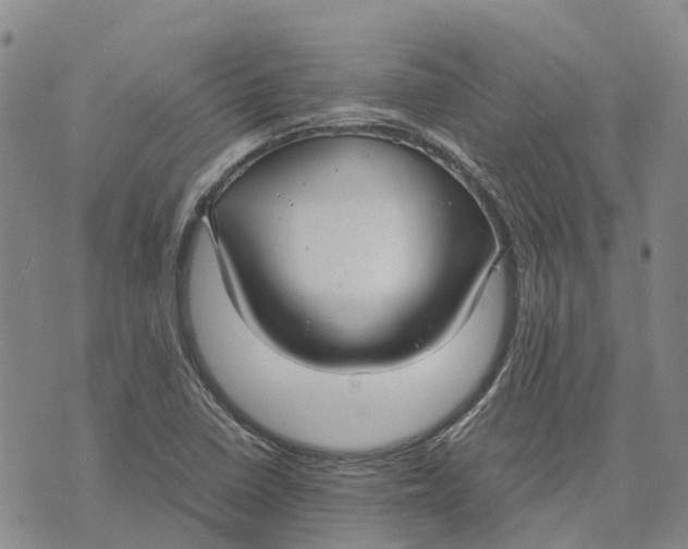 X0000072521410200608041520