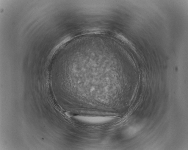 X0000072521411200608041520