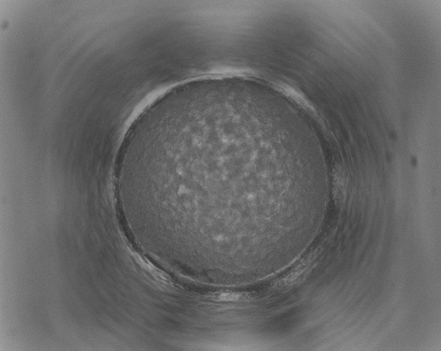 X0000072521412200608041520