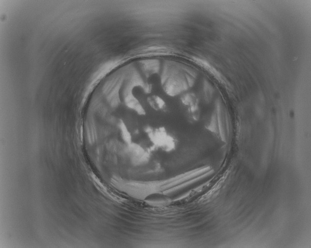 X0000072521413200608041520