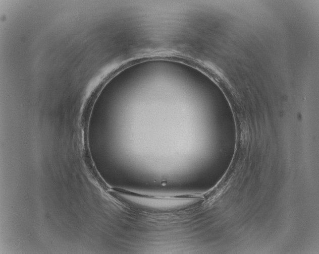 X0000072521414200608041520