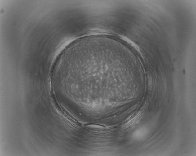 X0000072521415200608041520