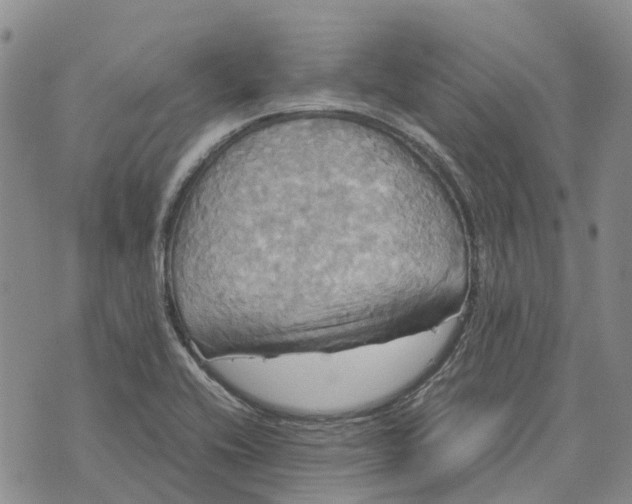 X0000072521416200608041520