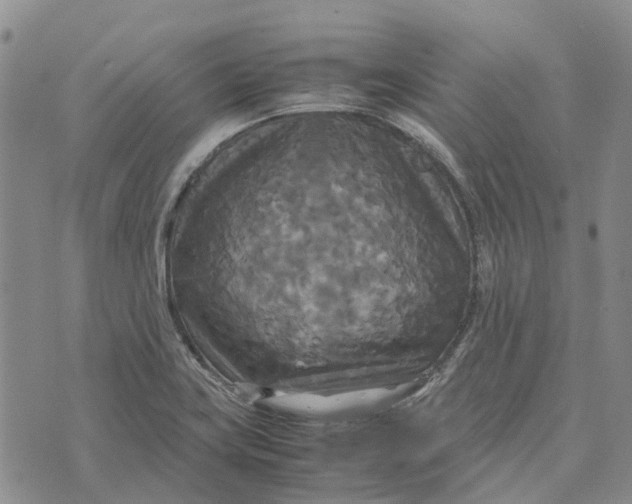 X0000072521419200608041520