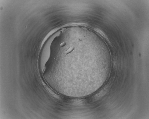 X0000072521420200608041520