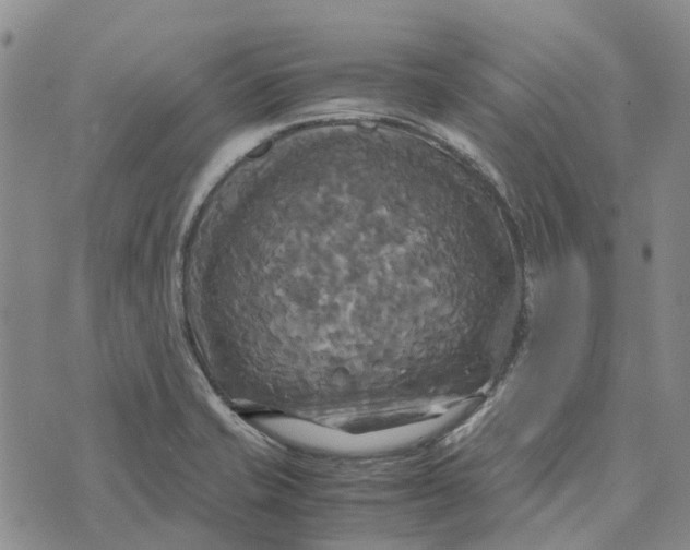 X0000072521421200608041520