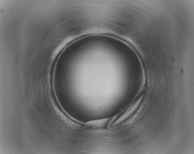 X0000072521422200608041520