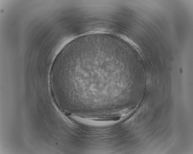 X0000072521423200608041520