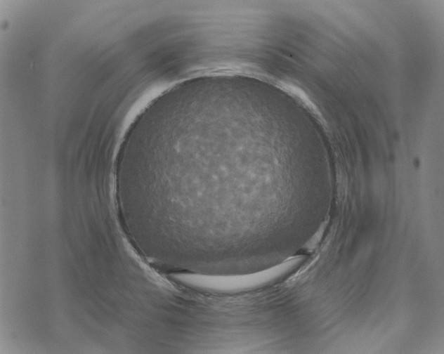 X0000072521424200608041520