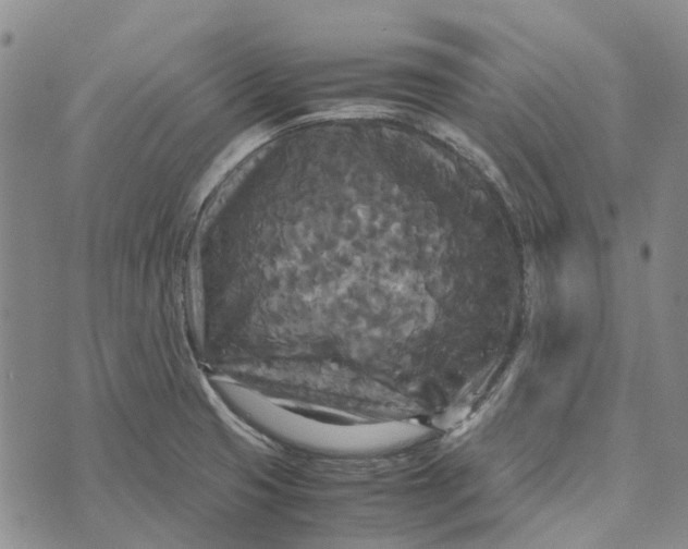 X0000072521425200608041520