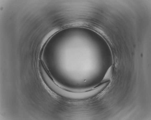 X0000072521426200608041520