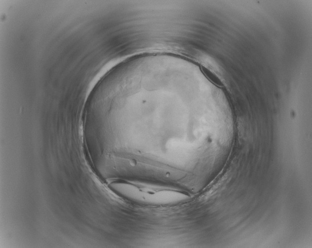 X0000072521428200608041520