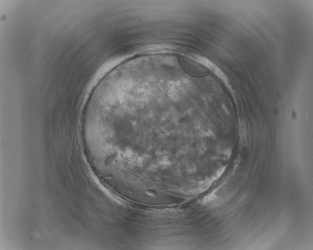 X0000072521429200608041520