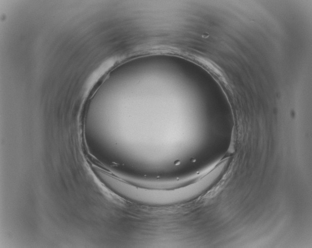 X0000072521430200608041520