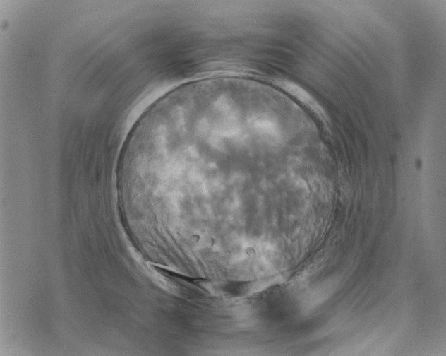 X0000072521431200608041520