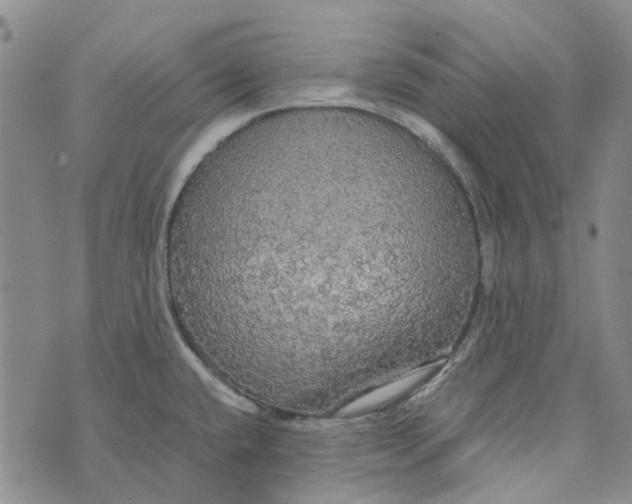 X0000072521432200608041521