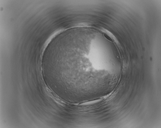 X0000072521435200608041521