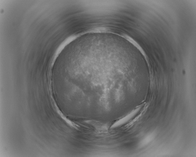 X0000072521437200608041521