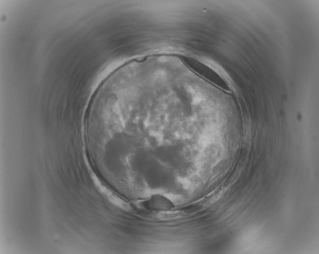 X0000072521439200608041521