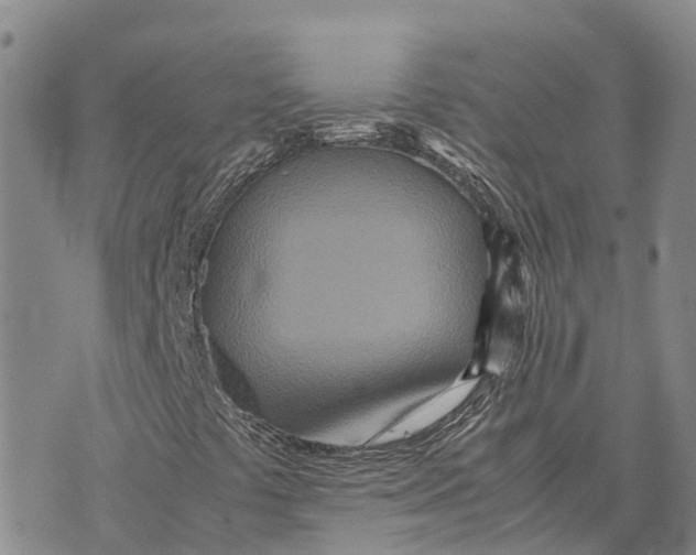 X0000072521441200608041520