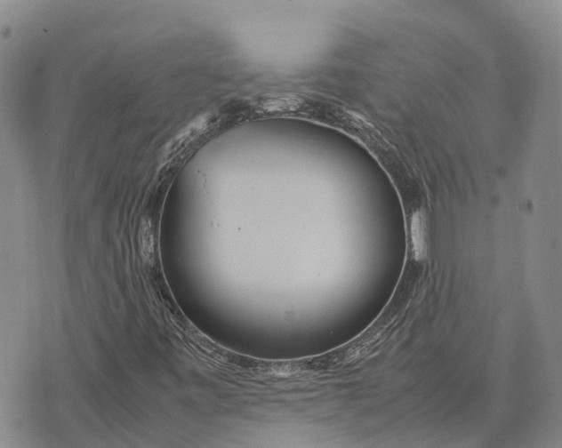 X0000072521443200608041520