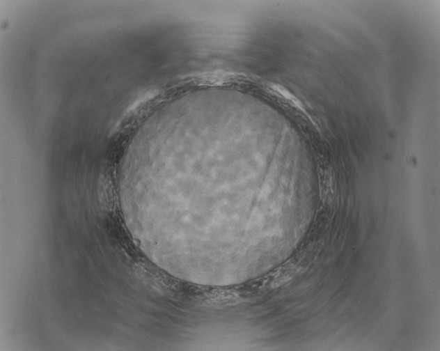 X0000072521446200608041520